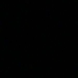 Meet your Posher, Charly